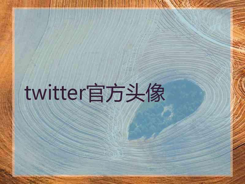 twitter官方头像