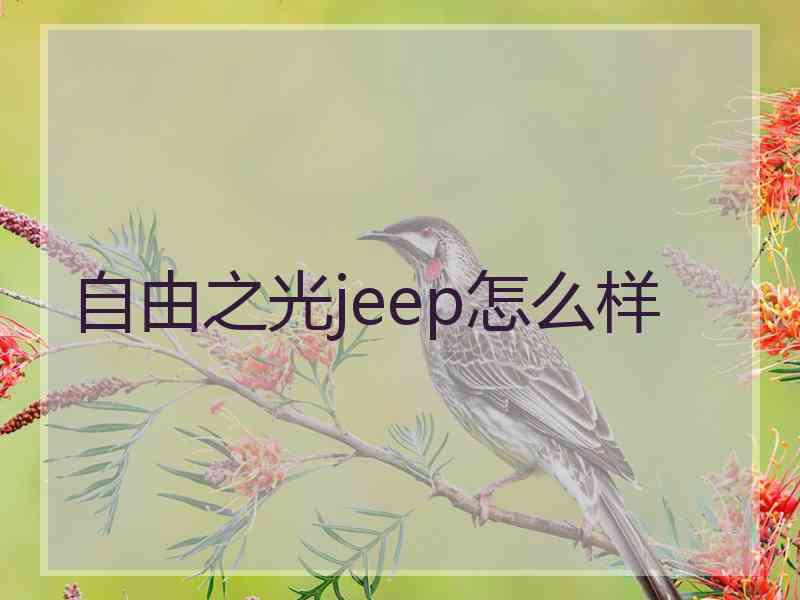 自由之光jeep怎么样