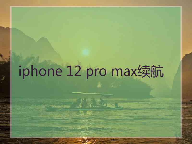 iphone 12 pro max续航