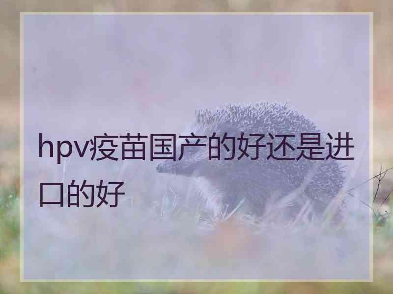 hpv疫苗国产的好还是进口的好