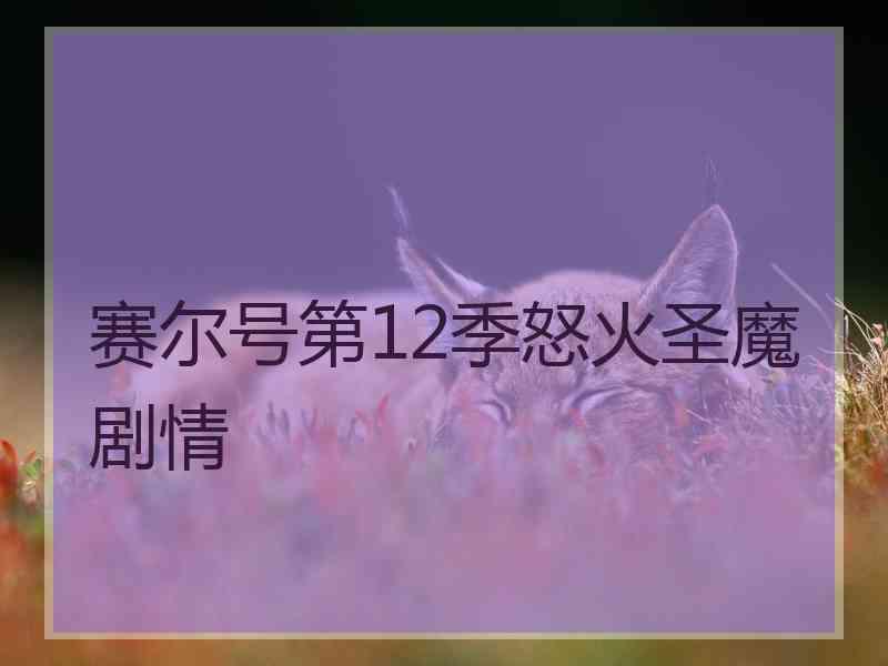 赛尔号第12季怒火圣魔剧情