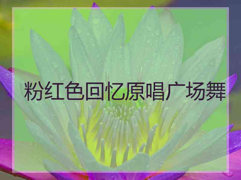 粉红色回忆原唱广场舞