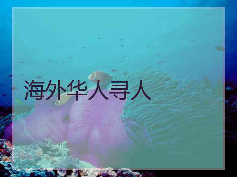 海外华人寻人