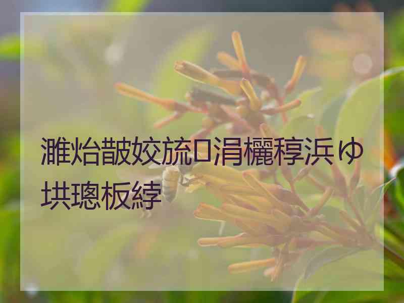 濉炲皵姣旈涓欐稕浜ゆ垬璁板綍