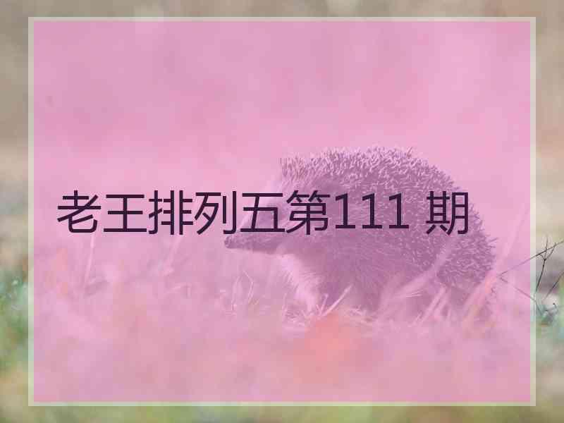 老王排列五第111 期