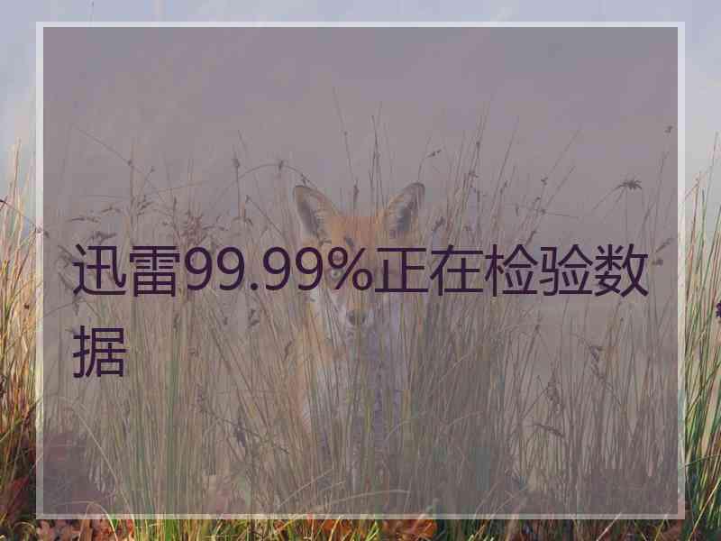 迅雷99.99%正在检验数据