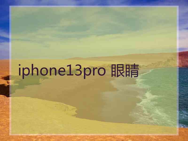 iphone13pro 眼睛