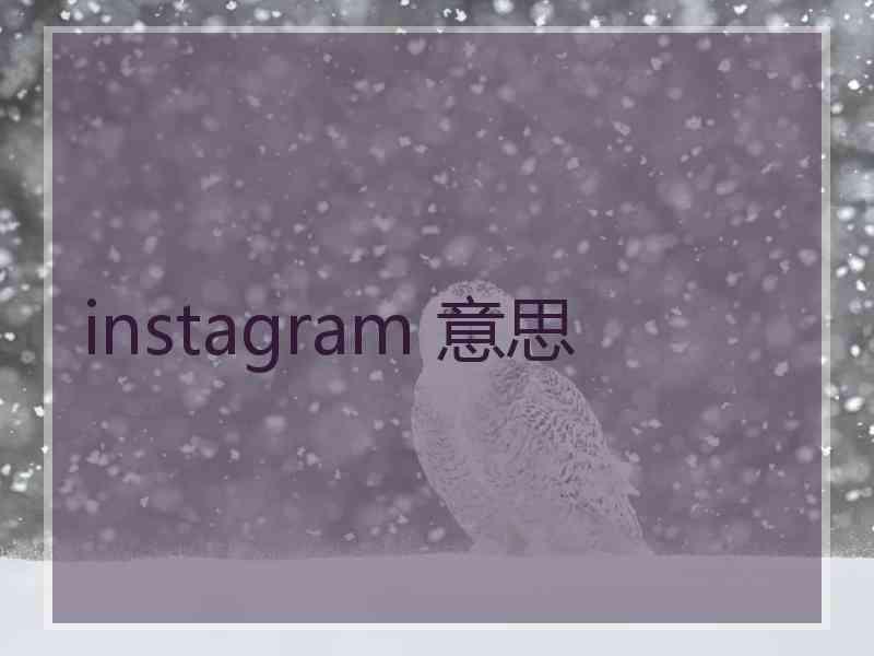 instagram 意思