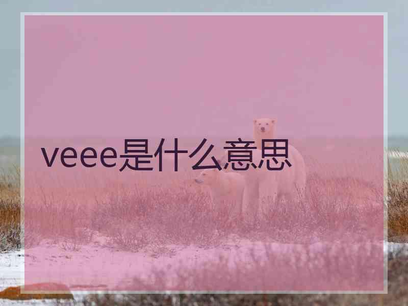 veee是什么意思