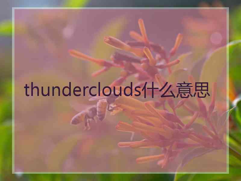 thunderclouds什么意思