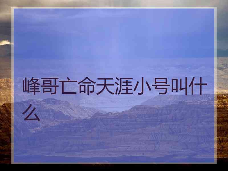 峰哥亡命天涯小号叫什么