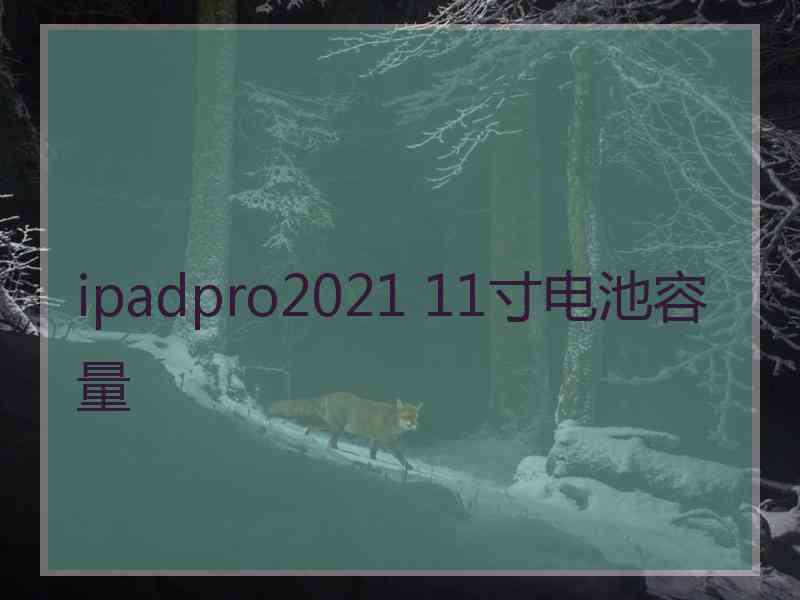 ipadpro2021 11寸电池容量