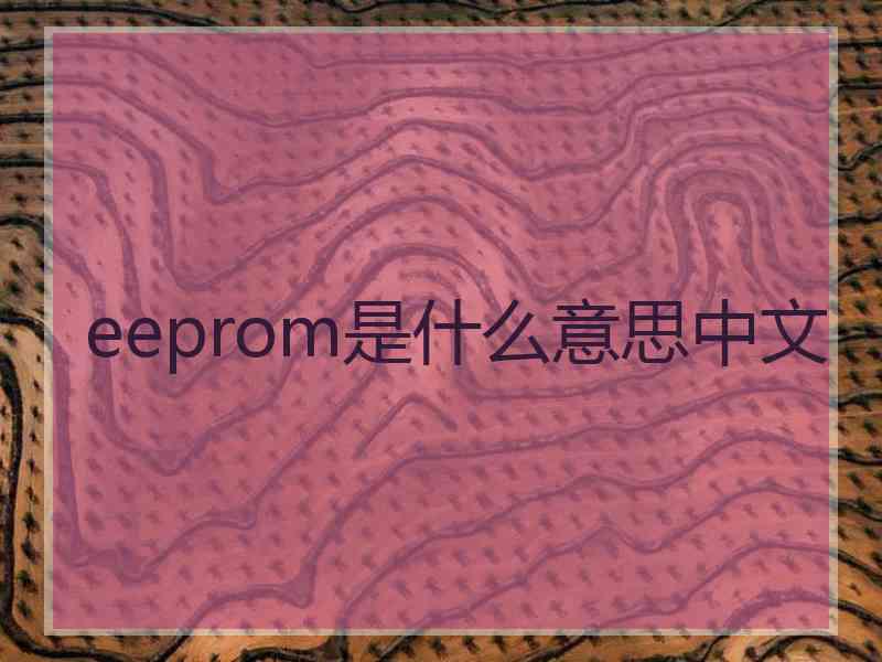 eeprom是什么意思中文