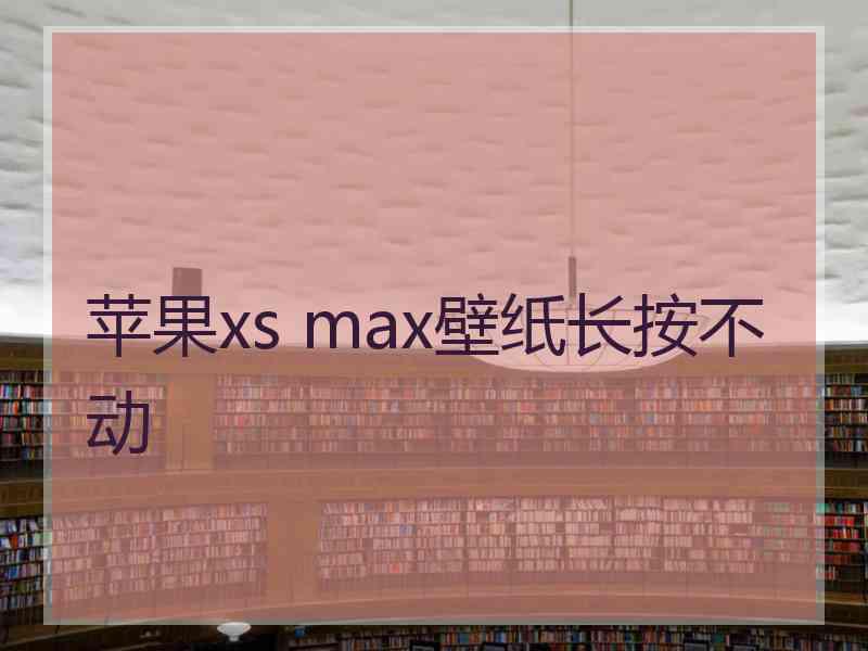 苹果xs max壁纸长按不动