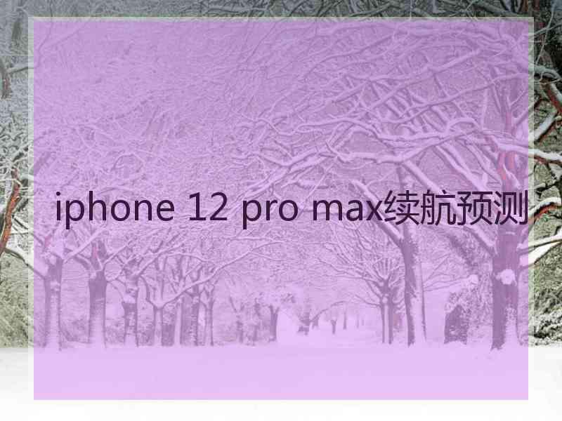 iphone 12 pro max续航预测