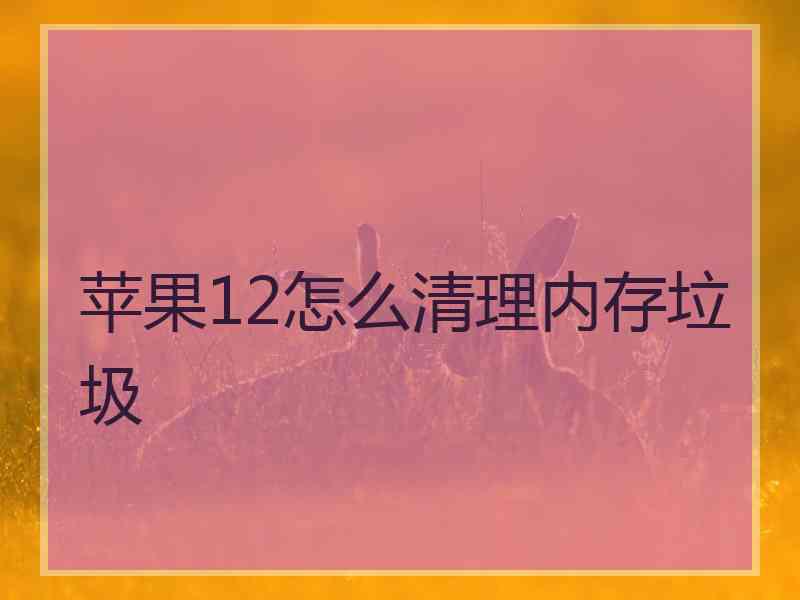 苹果12怎么清理内存垃圾