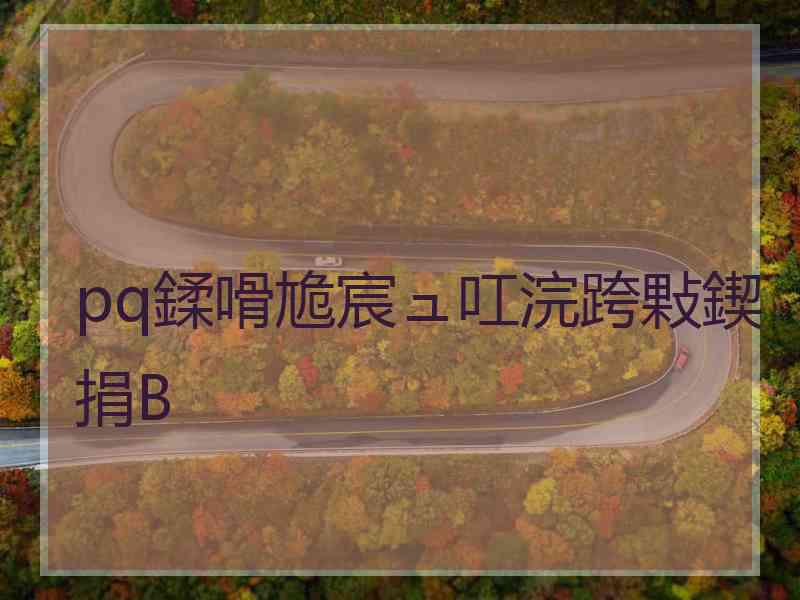 pq鍒嗗尯宸ュ叿浣跨敤鍥捐В