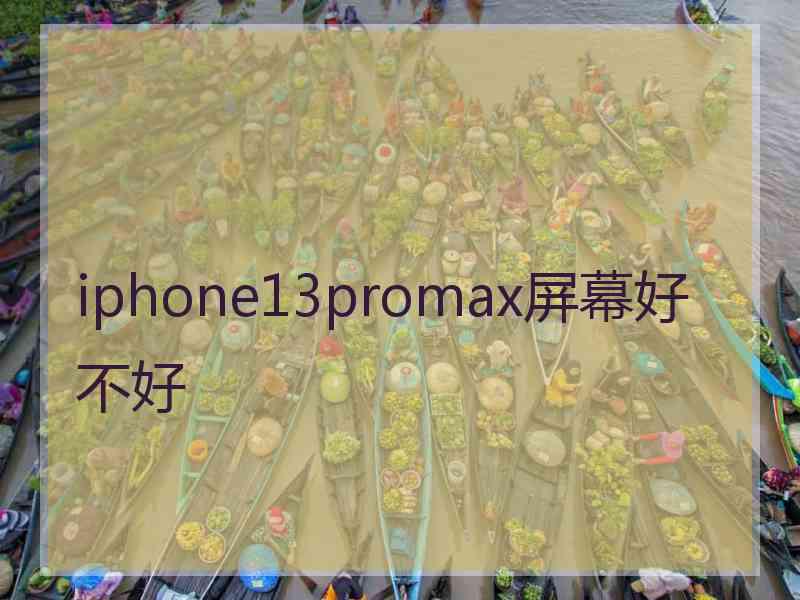 iphone13promax屏幕好不好