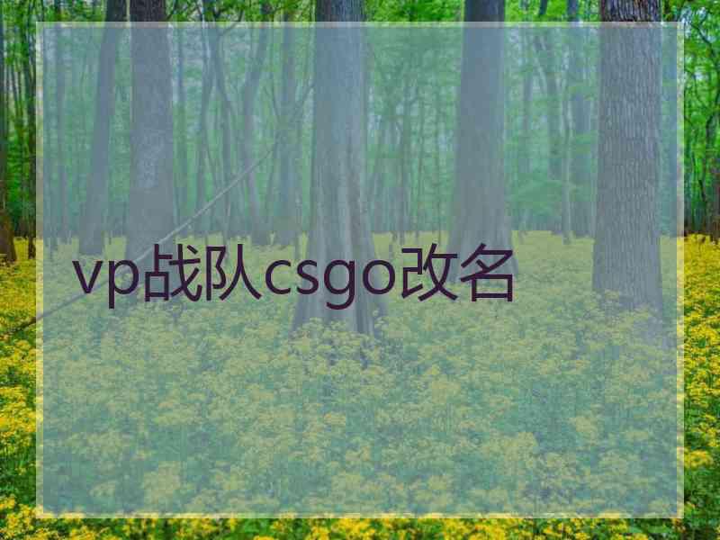 vp战队csgo改名