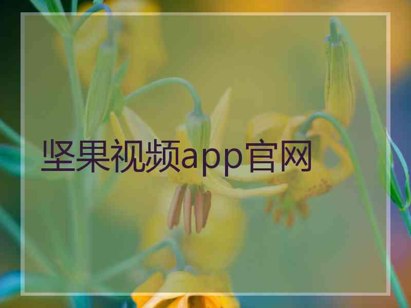 坚果视频app官网