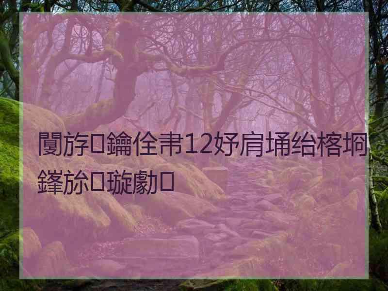 闅斿鑰佺帇12妤肩埇绐楁埛鎽旀璇勮