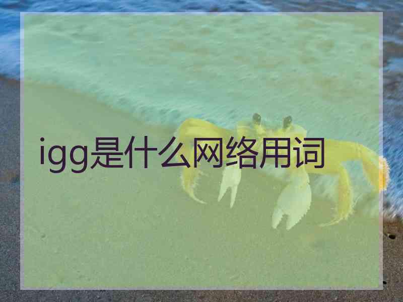 igg是什么网络用词