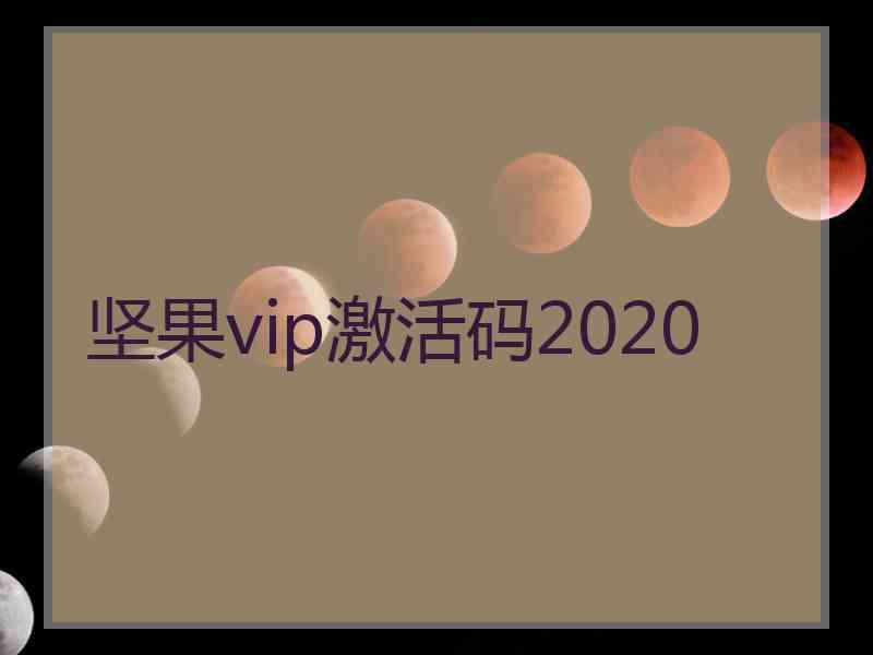 坚果vip激活码2020