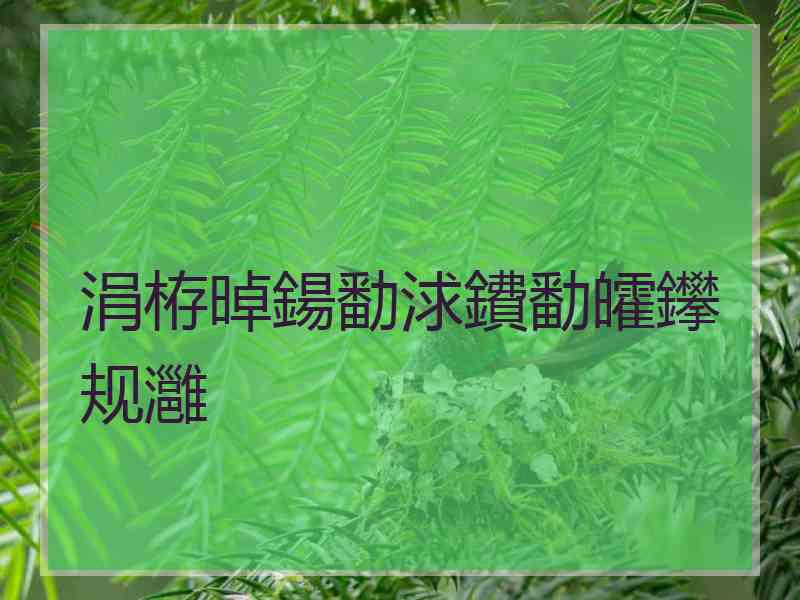 涓栫晫鍚勫浗鐨勫皬鑻规灉