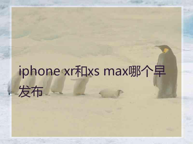 iphone xr和xs max哪个早发布