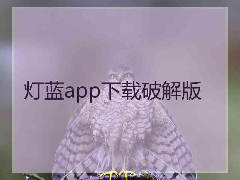 灯蓝app下载破解版