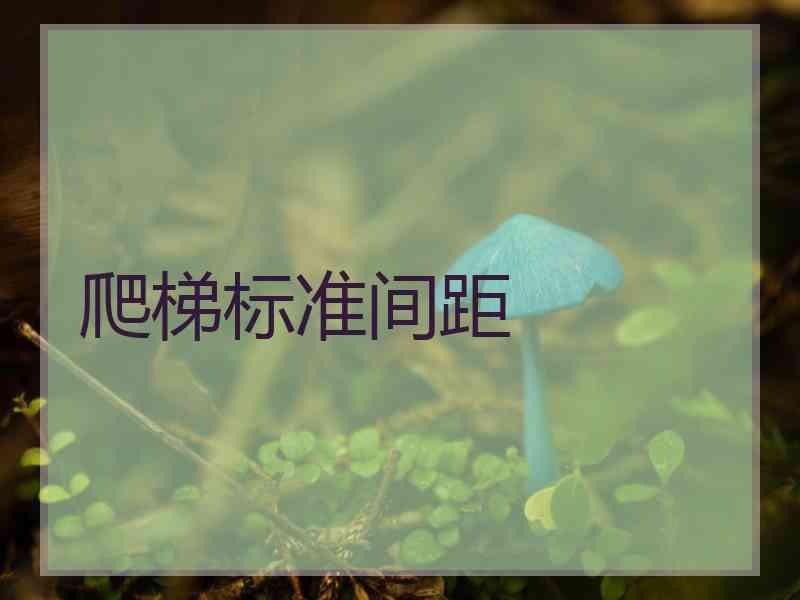 爬梯标准间距