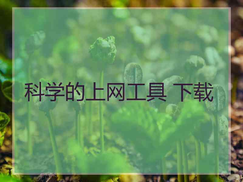 科学的上网工具 下载