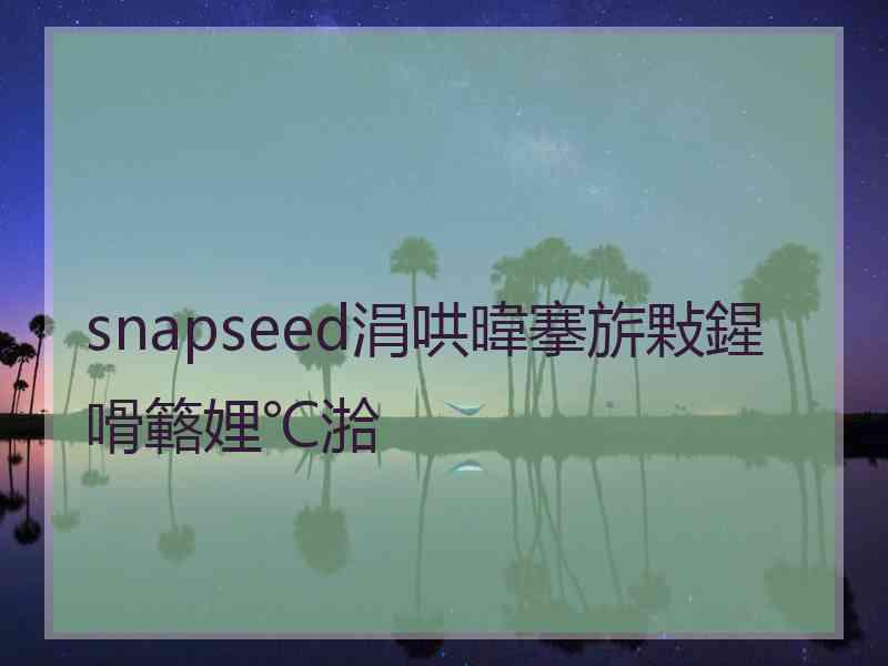 snapseed涓哄暐搴旂敤鍟嗗簵娌℃湁