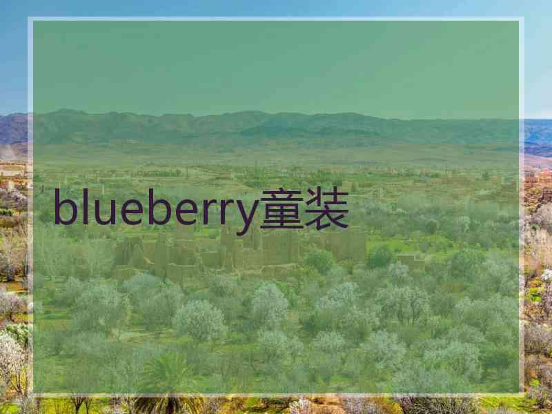 blueberry童装