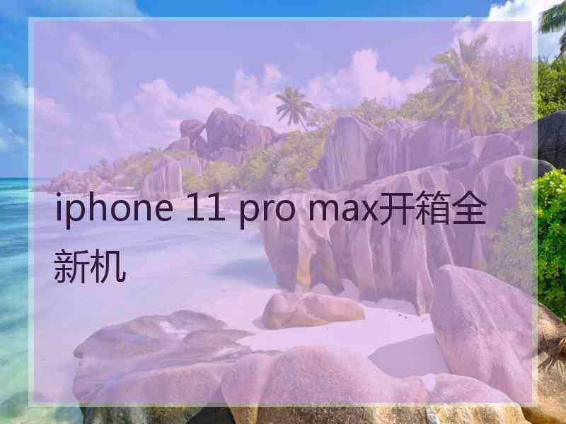 iphone 11 pro max开箱全新机