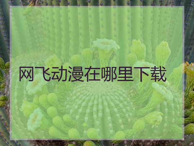 网飞动漫在哪里下载