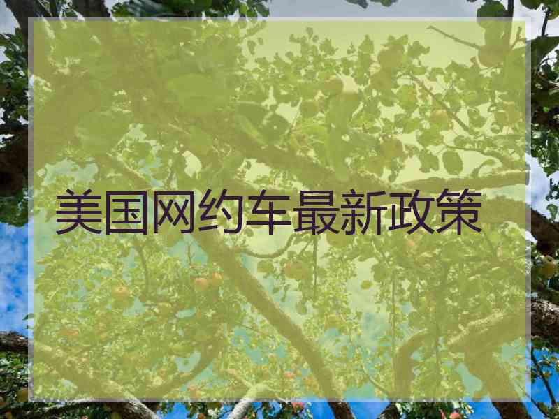 美国网约车最新政策