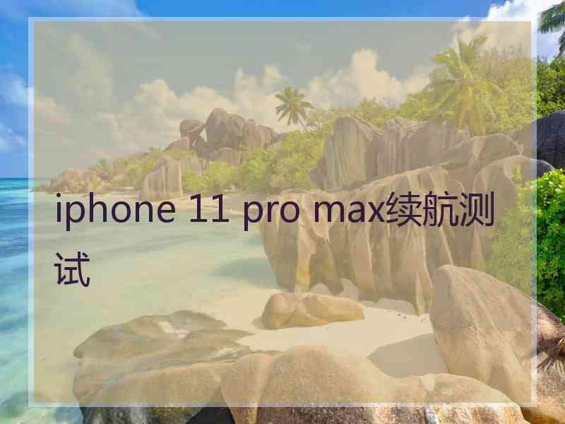 iphone 11 pro max续航测试