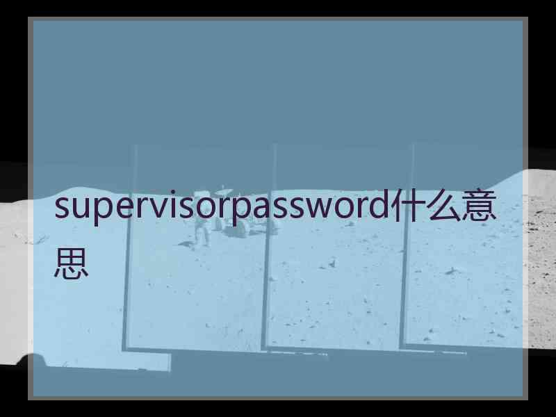 supervisorpassword什么意思