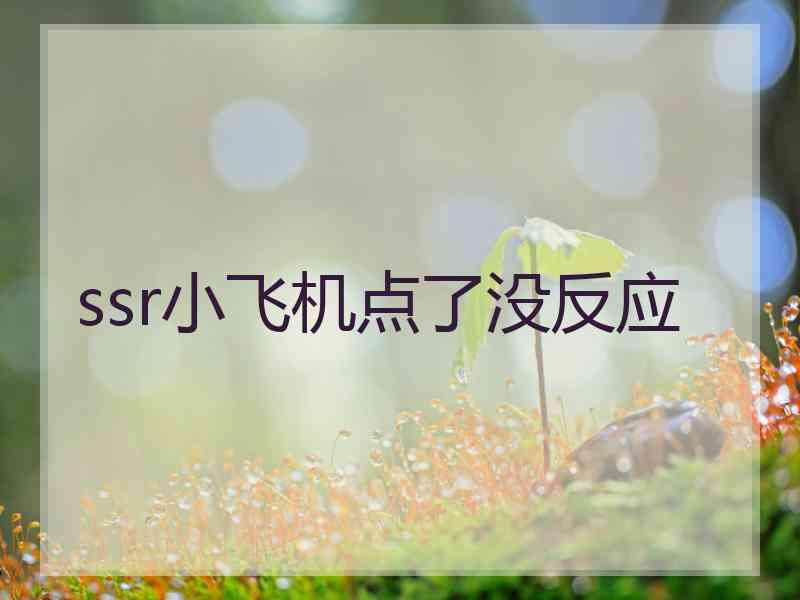 ssr小飞机点了没反应