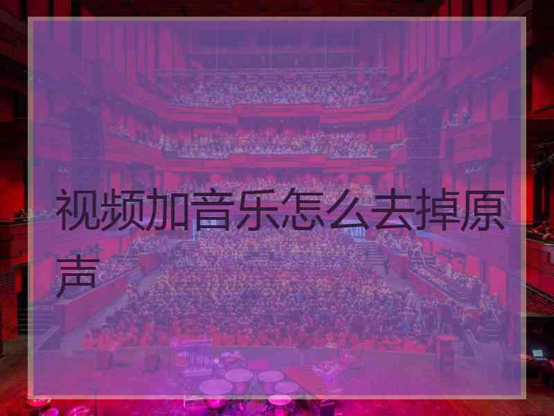 视频加音乐怎么去掉原声