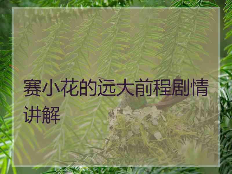 赛小花的远大前程剧情讲解