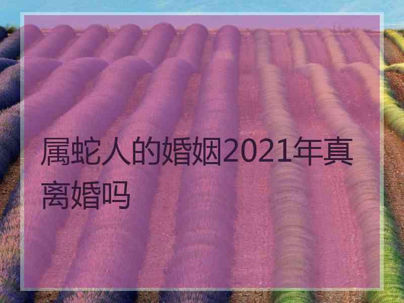 属蛇人的婚姻2021年真离婚吗