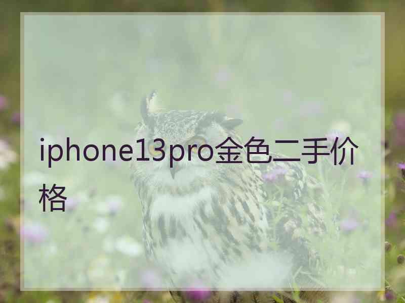 iphone13pro金色二手价格