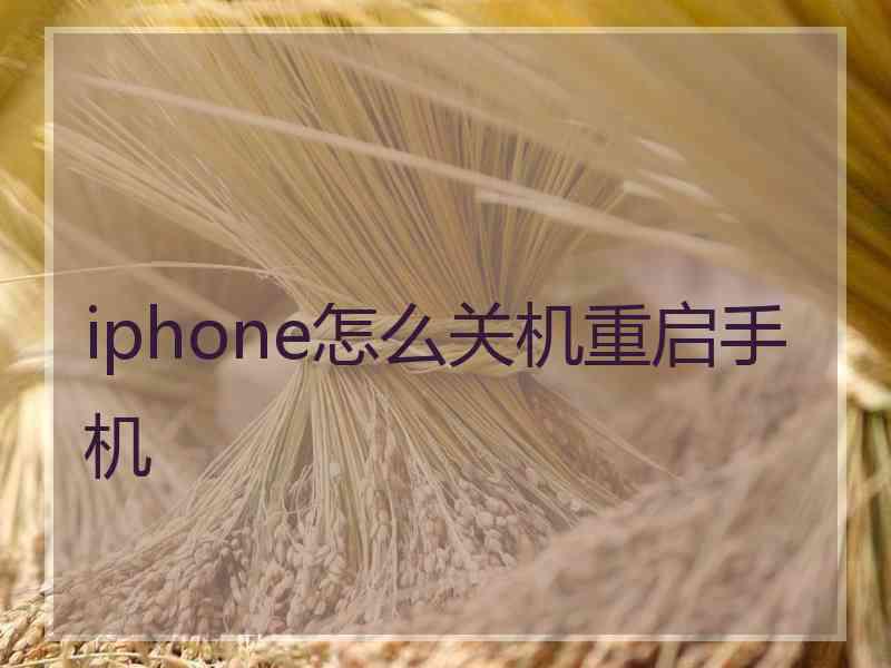 iphone怎么关机重启手机