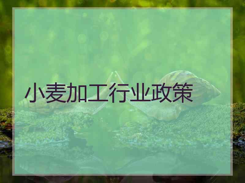 小麦加工行业政策