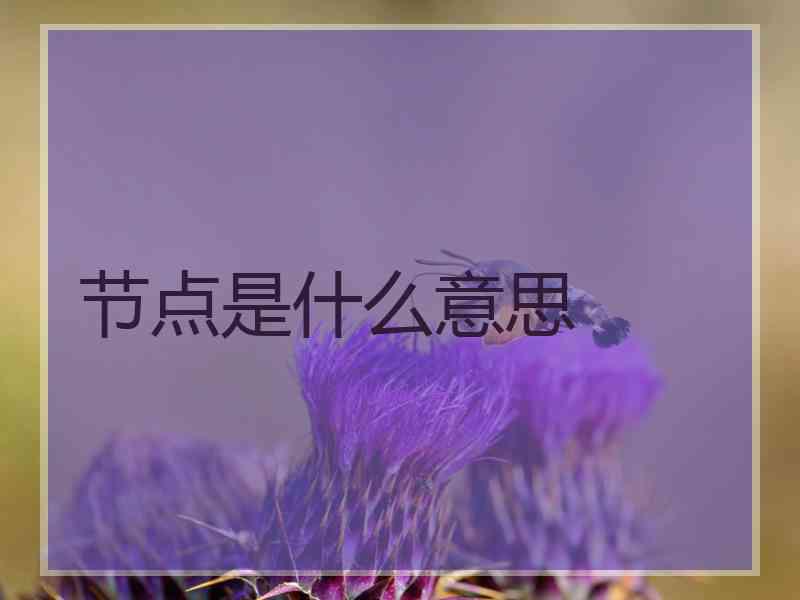 节点是什么意思