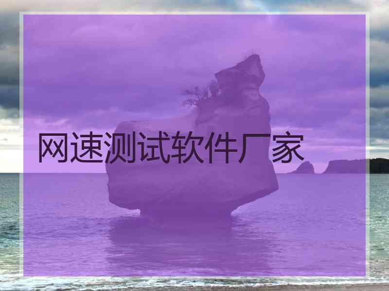 网速测试软件厂家