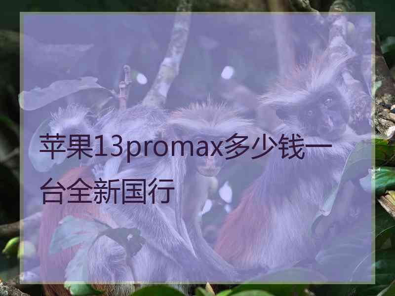 苹果13promax多少钱一台全新国行