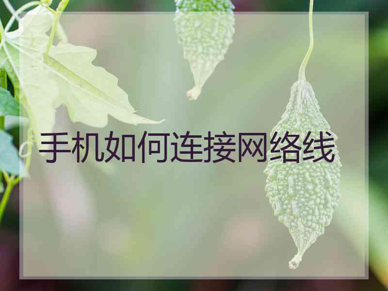 手机如何连接网络线